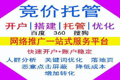 SEM托管服务案例：打造全方位营销解决方案